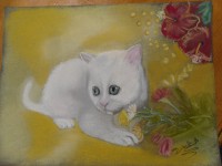 /album/chats/photo-010-jpg/